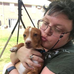 Meet your Posher, Sheryl